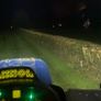 Hedgecutting Image 4