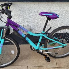 24" girls bike