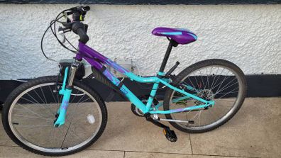 24" girls bike