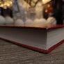 The New Silk Roads: The Present and Future of the World ! Hardcover ! 2018 ! by Bloomsbury ! Image 8