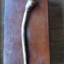 Walking,stick Image 3