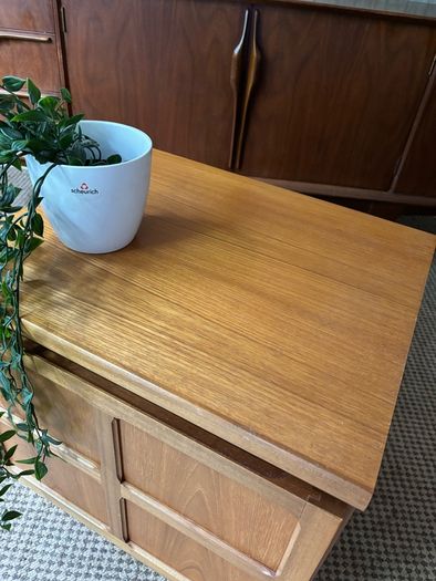 Vintage Retro Mid CenturyTeak Record Cabinet