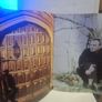 STING 1996 Mercury Falling Tour Concert Program Image 5