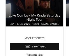 2 Luke combs tickets gold circle were 176 euro