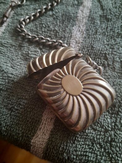 vintage vesta case