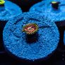 Space Chaos zoa Image 2