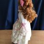 Collectors Porcelain Doll Image 3