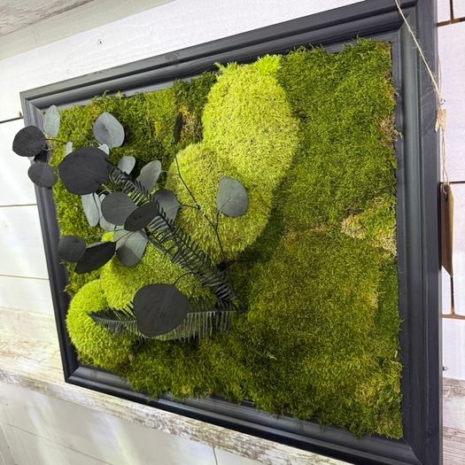 Classic Beauty 40x50cm - natural moss