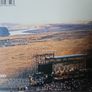 Steely Dan - Alive In America. Image 2