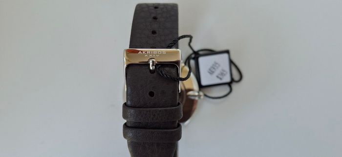 Akribos XX1V Quartz Watch