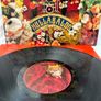 Forget Me Nots Hullabaloo Vinyl LP Record 4719221 Mint Condition Image 8
