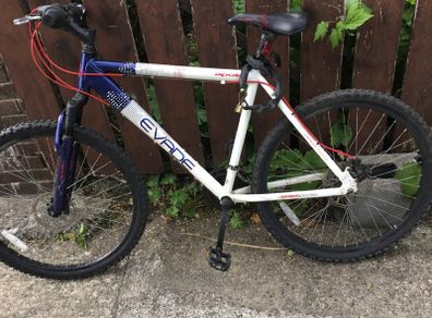 Mountain bike