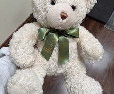 white Harrods teddy bear with a green ribbon.