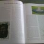 Meadow of the miracles A history of the Diocese of Clonfert  Galway Offaly Roscommon Image 2