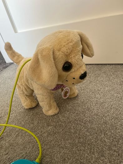 Baby Born Walking Dog
