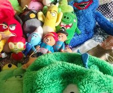 Teddies