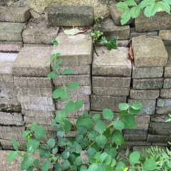 Bricks