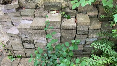 Bricks