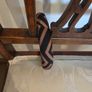 Black and bronze hairband bn Image 4