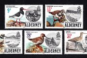 1984 Alderney Birds Commemorative Stamp Mint Never Hinged (MNH)