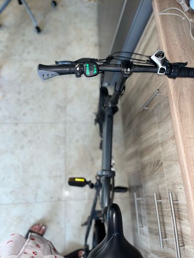 Fiido Folding Electric Bike