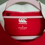 British & Irish Lions 2021 pro rugby jersey Image 3