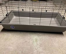 rabbit cage