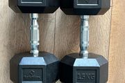15kg Dumbbells (pair)
