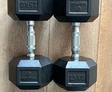 15kg Dumbbells (pair)