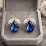 Crystal Earrings Image 6