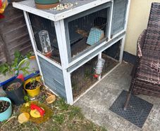 rabit cage