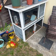 rabit cage
