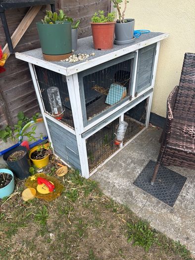 rabit cage