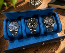 Luxury travel watch case