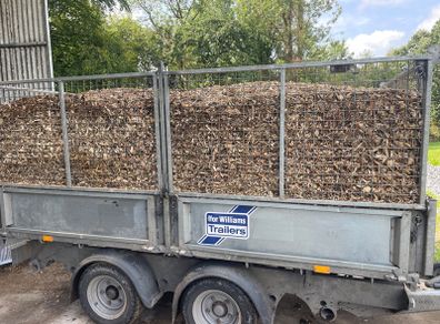 #Dry Stored# Fresh Ash Woodchip - Tonne Bags
