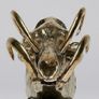 Wild Pig Skull (30cm) - Polished Bronze Image 3