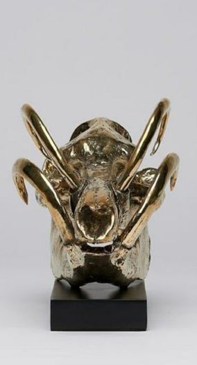 Wild Pig Skull (30cm) - Polished Bronze