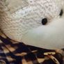 Large Dr. Bear (Grey) Large Teddy with Jacket. New . Image 6