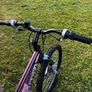 Apollo Craze (fully Serviced Like New ) Image 4