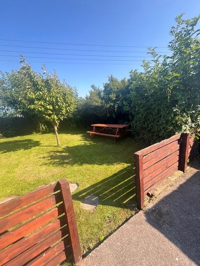 Few garden bits