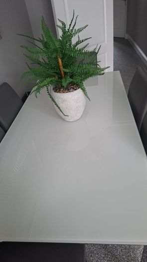 calligaris dining table & chairs