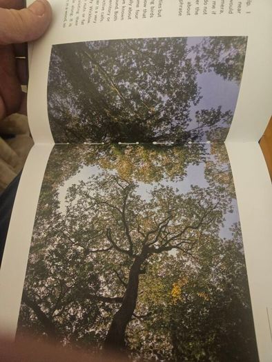 The Book Of Tomnafinnoge. Edited By Sylvia Cullen. Photographs By Terence White. First Edition Large Volume Hardback . See Photos For Same.