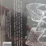 Florence + The Machine CD - Lungs Image 2