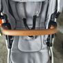 Buggy Image 6