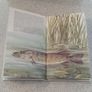 Fishing book Image 3