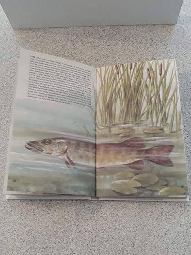 Fishing book