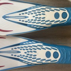 swim flippers