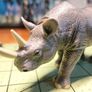 Schleich and Papo animal figurines Image 10