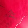 Liverpool FC signed Home Jersey Image 7