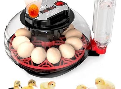 Egg Incubators for Hatching Eggs, Incubator for 12 Eggs with Automatic Turning & Auto Water Filling, Temperature & Humidity Control, Egg Incubator for Chicken, Quails, Ducks, Goose, Pigeon, Parrot